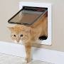 door cat