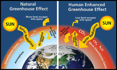 greenhouse effect